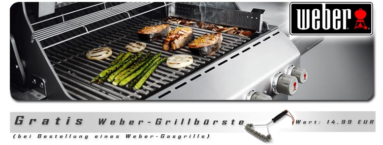 Weber-Gas-Shop-24 Gasgrill